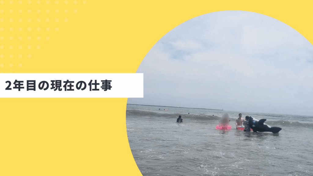 2年目の現在の仕事